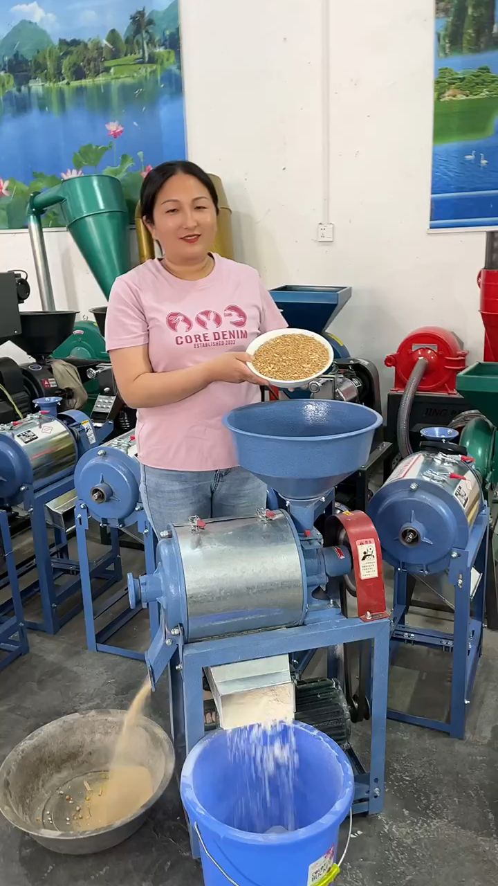 家用小型磨面机,一碗粮食在家就可以磨面粉