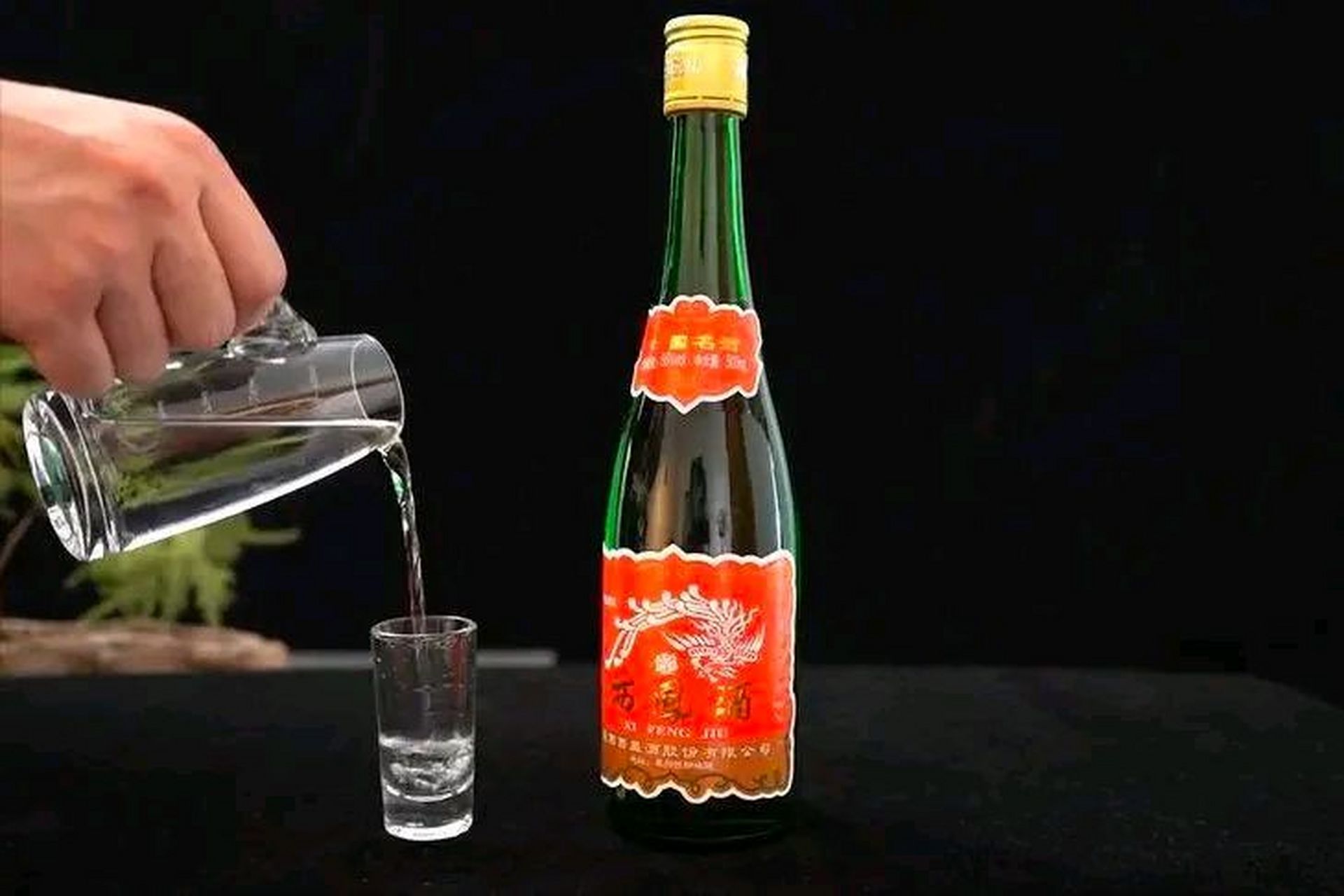 朋友从陕西老家带来了,几瓶"绿脖子西凤酒",送了我两瓶,话说之前还真