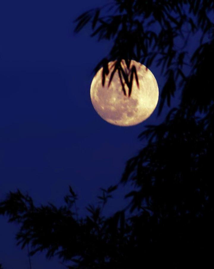 那些一眼万年的朋友圈句子,选一个更新朋友圈吧,现实犀利