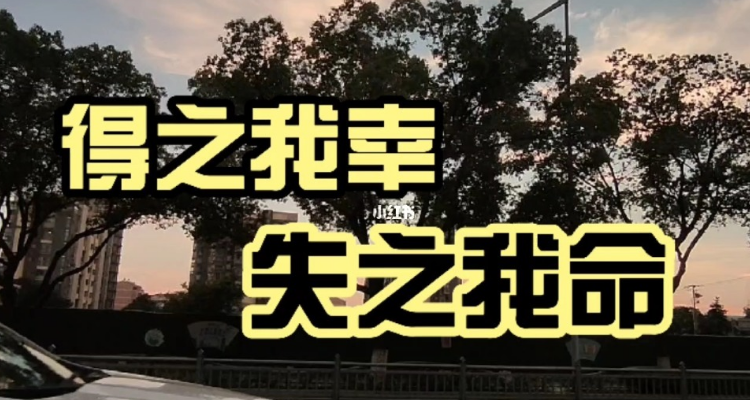 得之我幸失之我命下句