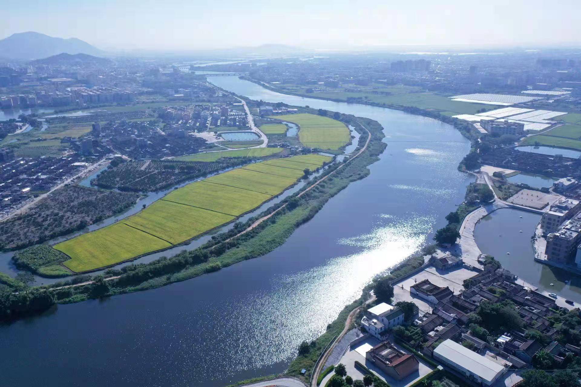 2017年,时任汕头市市委书记的陈良贤去调研练江污染治理工作.