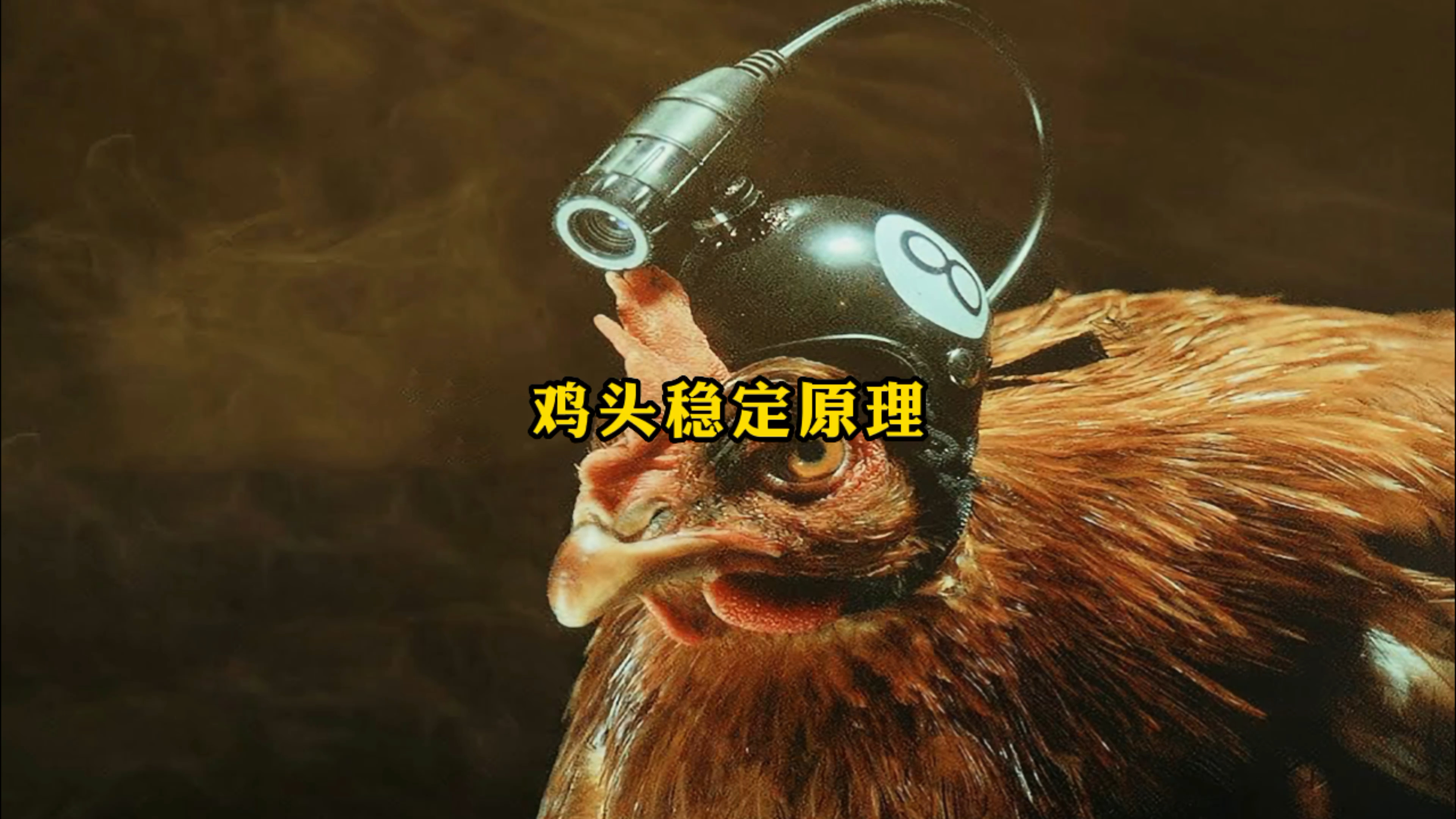 你知道鸡头稳定的原理了吗