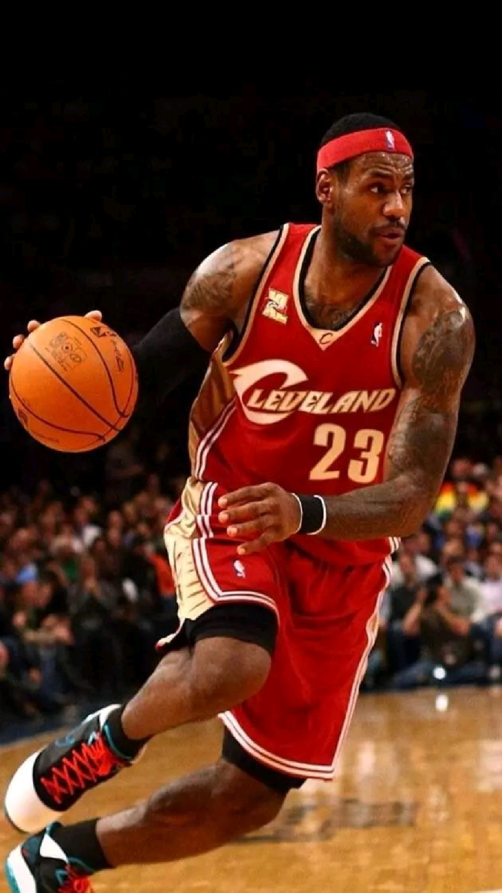 詹姆斯1.0时期十大逆天扣篮