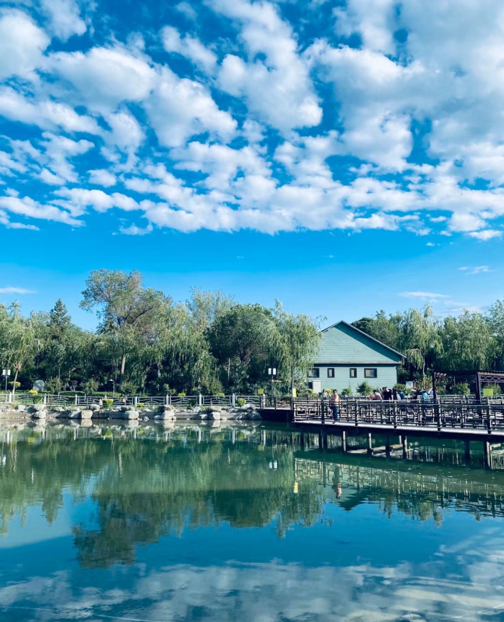 早晨8:00的鲤鱼山是不同寻常的,尤其是有小伙伴们的陪伴与共勉.