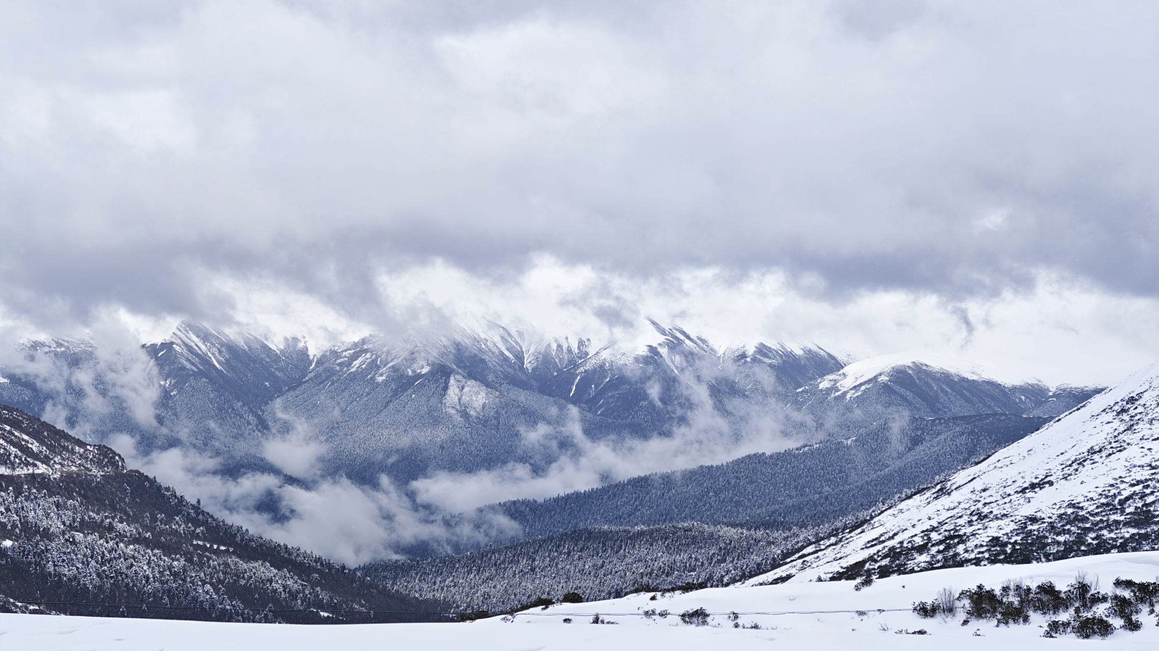 风景分享(g318,西藏):2023年3月30日,波密松宗镇-鲁朗-林芝嗄拉桃花村