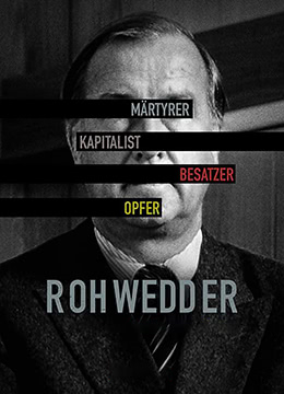完美犯罪：狄列夫·罗威德遇刺案第一季最新电影资源更新网站