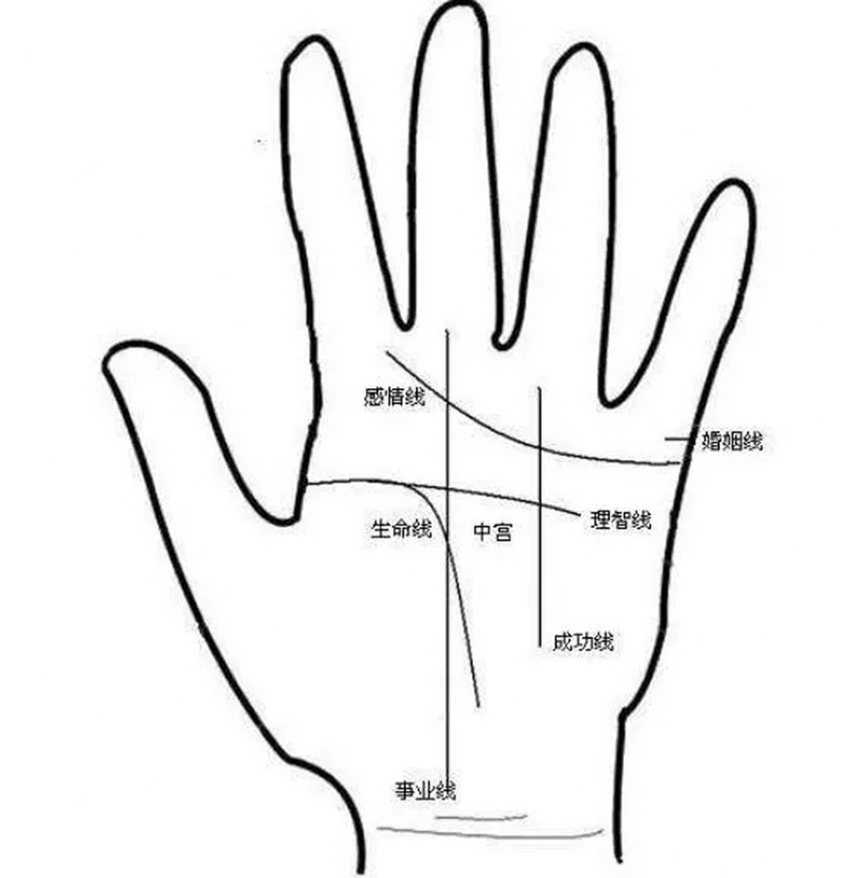 男人左手手相有什么说法? 1.