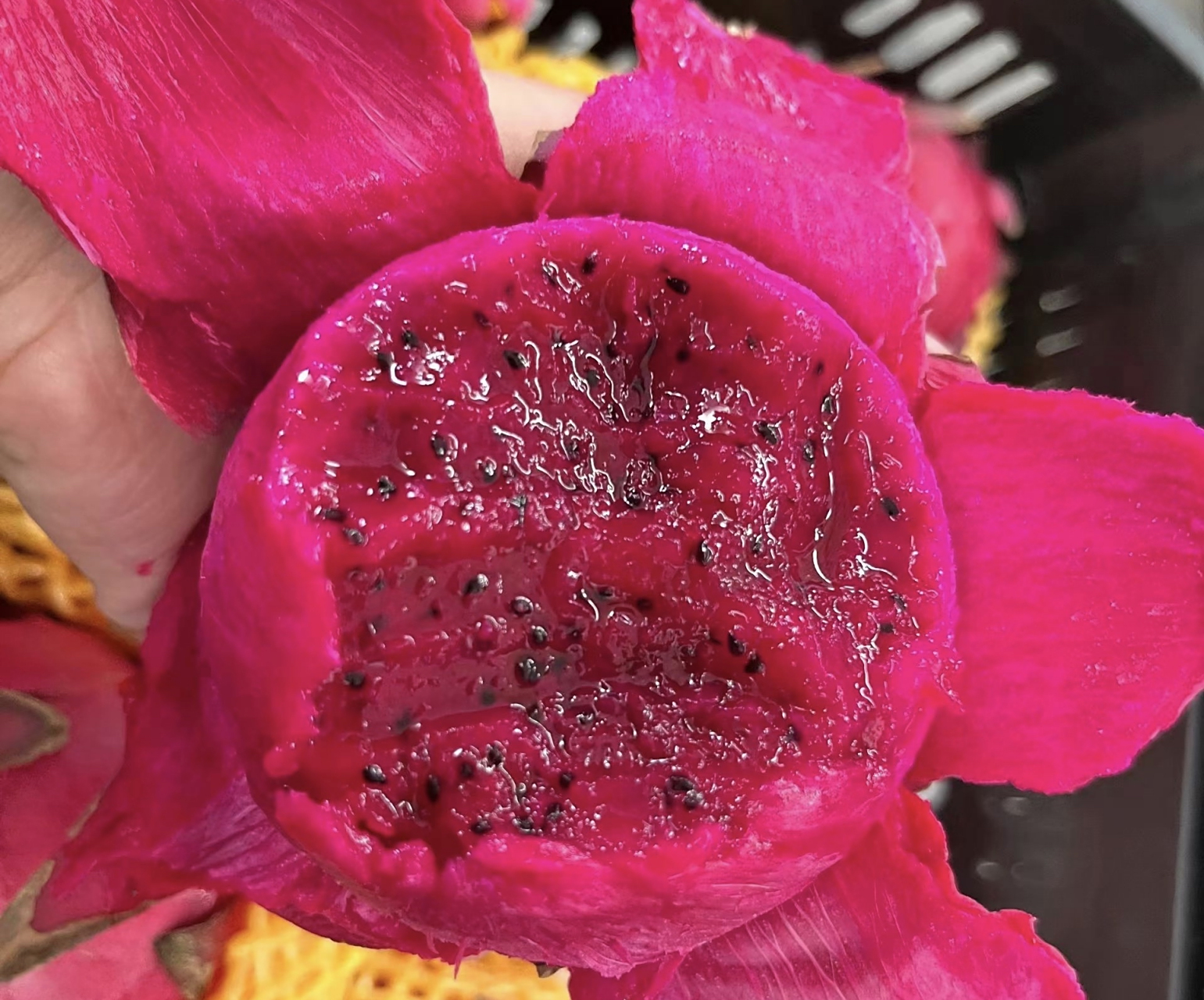 夏天记得多吃"富含花青素"的国产红心火龙果!