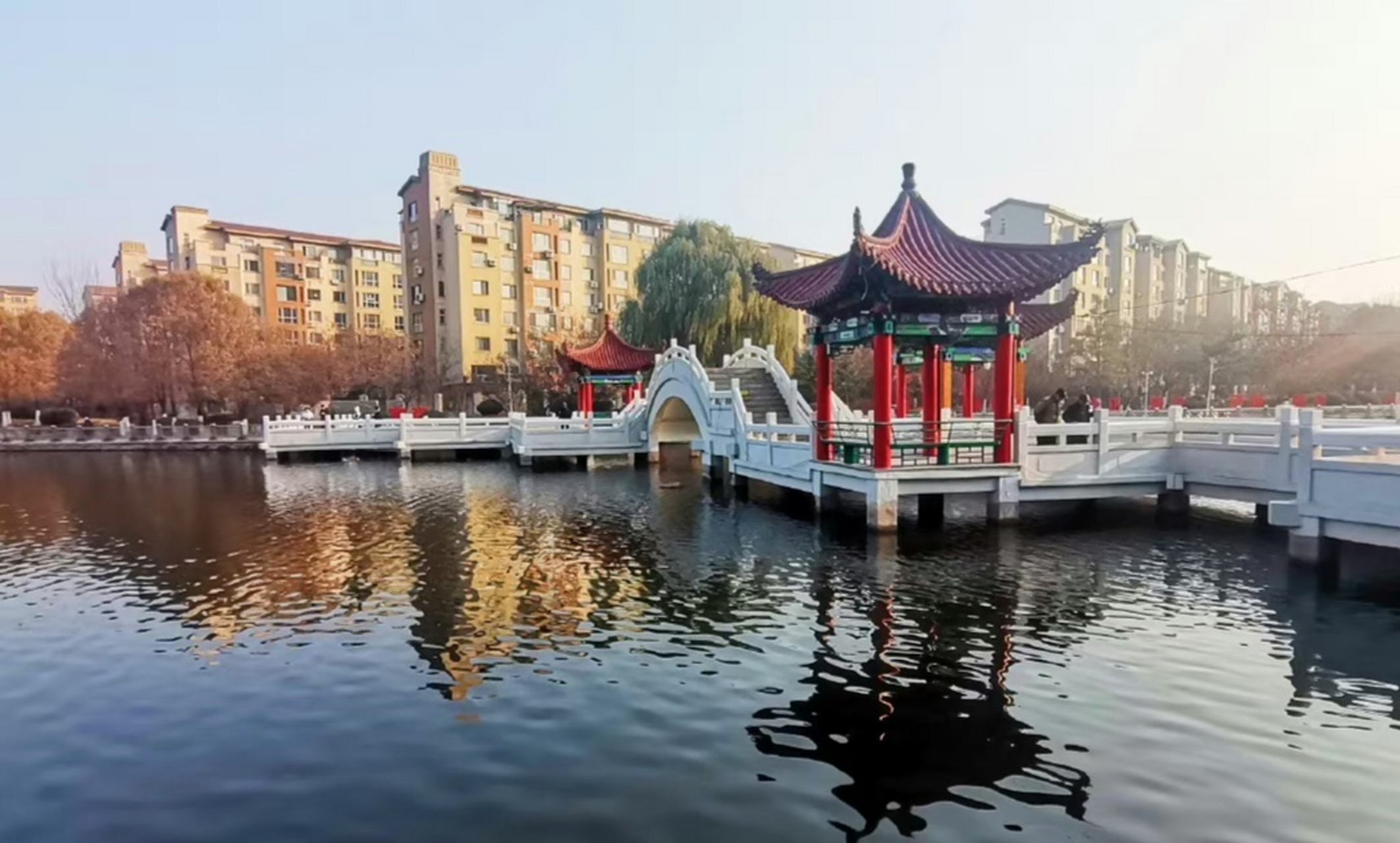 【辽宁鞍山 | 腾鳌滨河公园冬日色彩】 (图片来源@余辉映天 ) 67