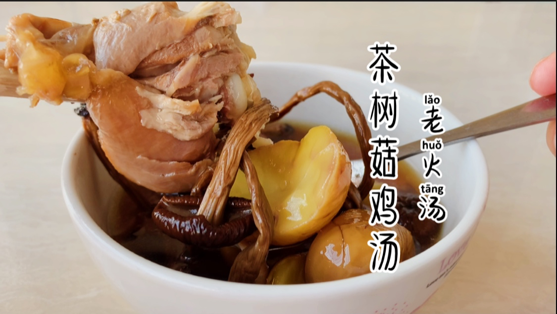 立秋后,炖一煲茶树菇老鸡汤,汤甜味鲜又滋补,超级好喝!