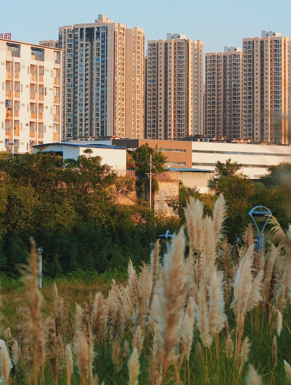 重庆草海湾公园是一个非常美丽的公园,位于重庆市大渡口区与九龙坡区