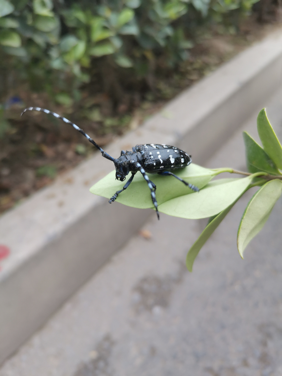 "河南高考专用笔"—某好文具把自己搞废了  这次又是河南,而且还与