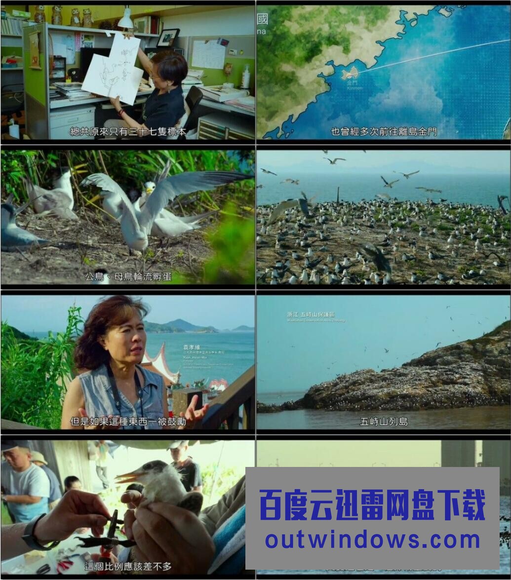 2021台湾纪录片《寻找神话之鸟》HD1080P.国语中字1080p|4k高清
