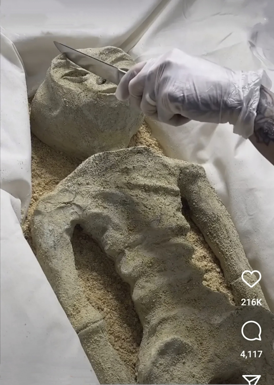 快来围观解剖外星人!满满的碳水化合物,看着非常绵密可口