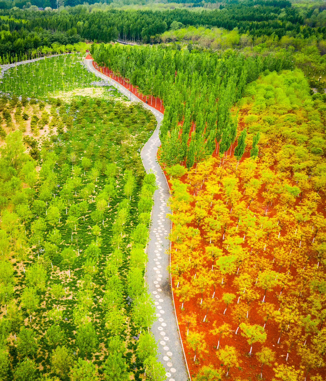 这里是朝阳农村|请到朝来森林公园三期,纵享体育文化惬意