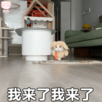 现在,就跟着徐徐的步伐一起来了解