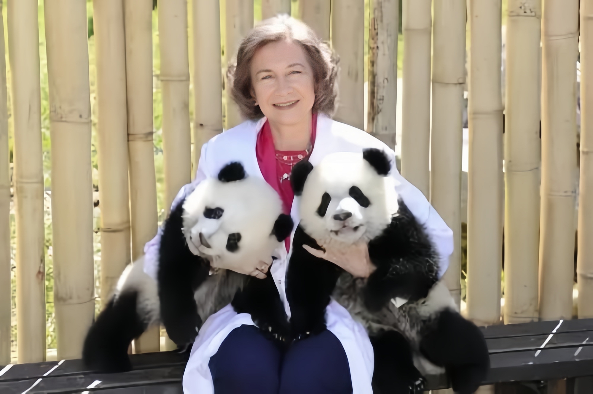 熊猫外交知多少?