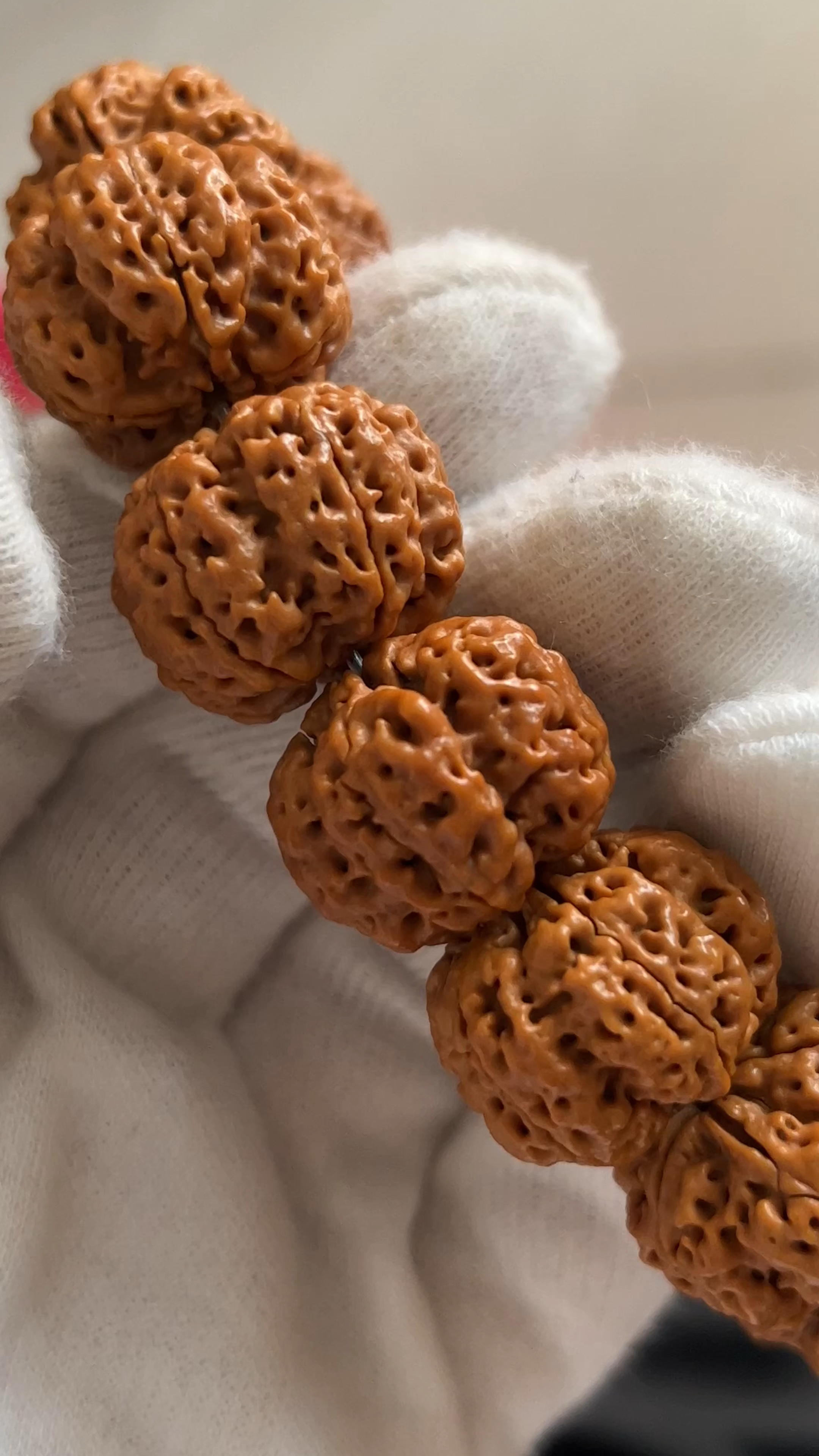 大梅花金刚菩提,天然的纹路看一眼都是享受!