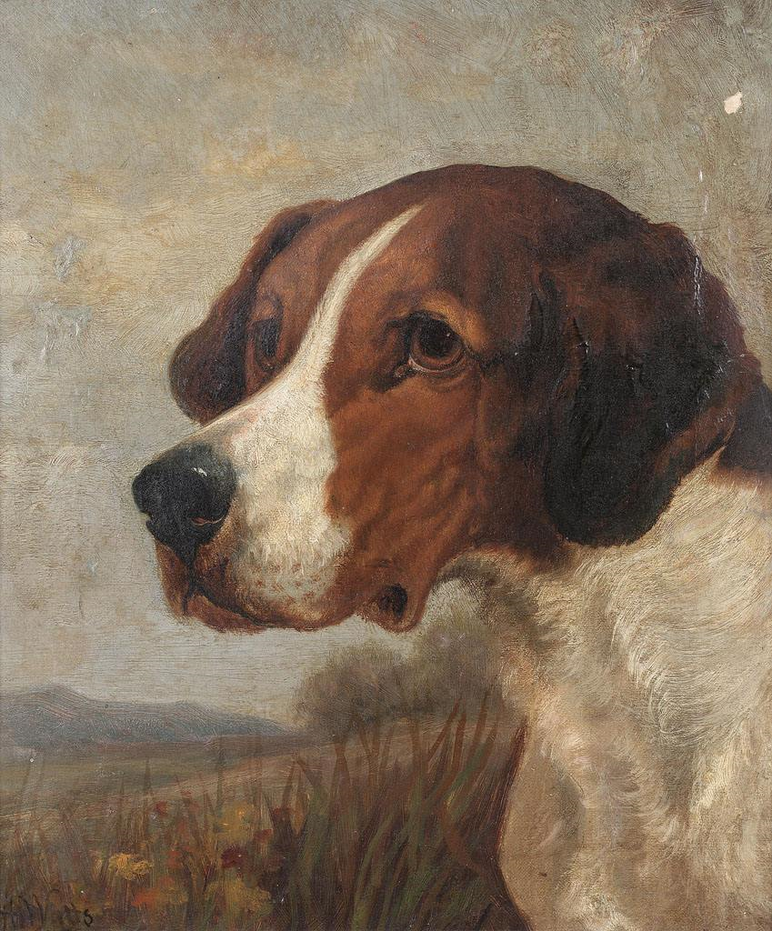 养狗又弃狗,从莫泊桑的《皮埃罗》看人性的自私和虚伪