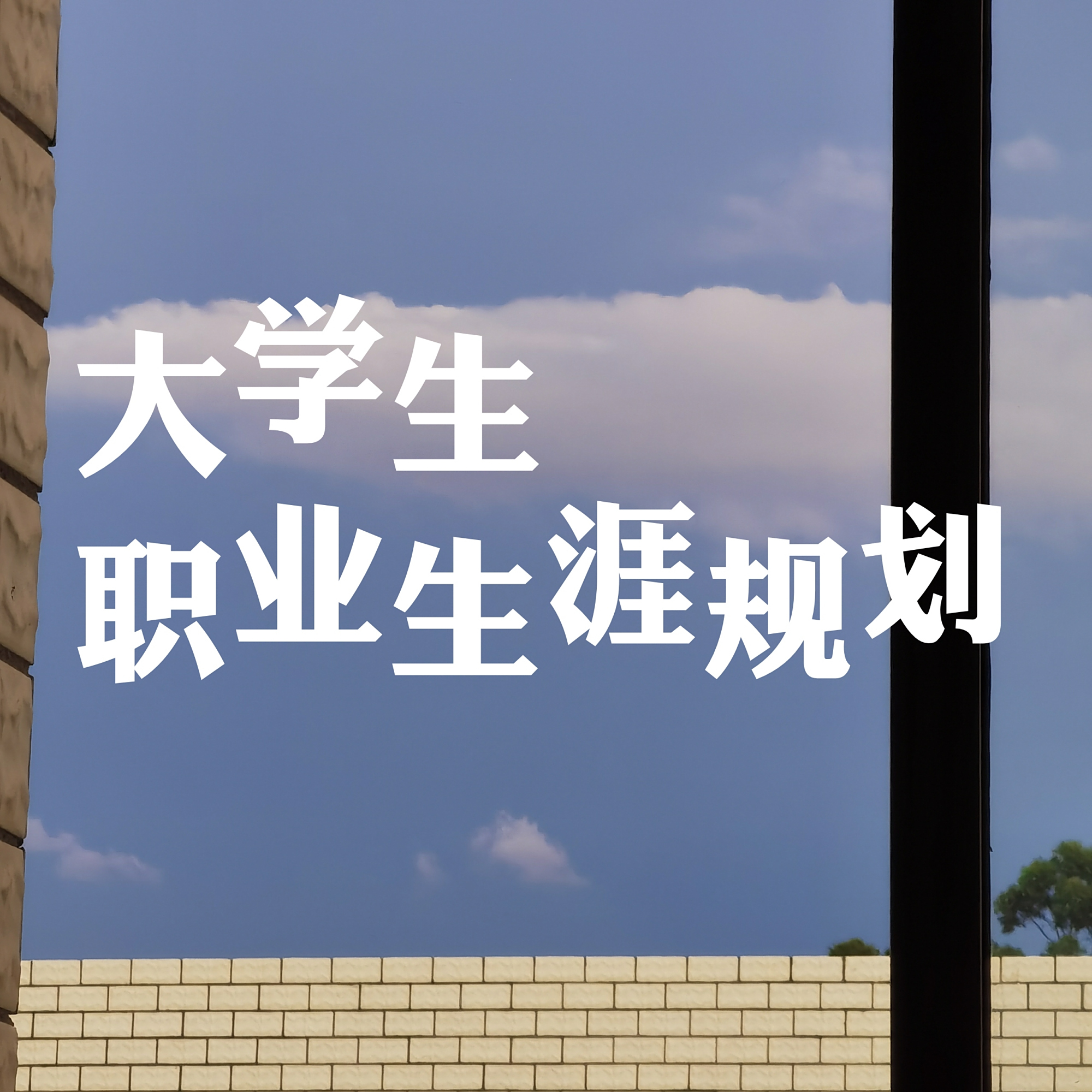 大学生的职业生涯规划