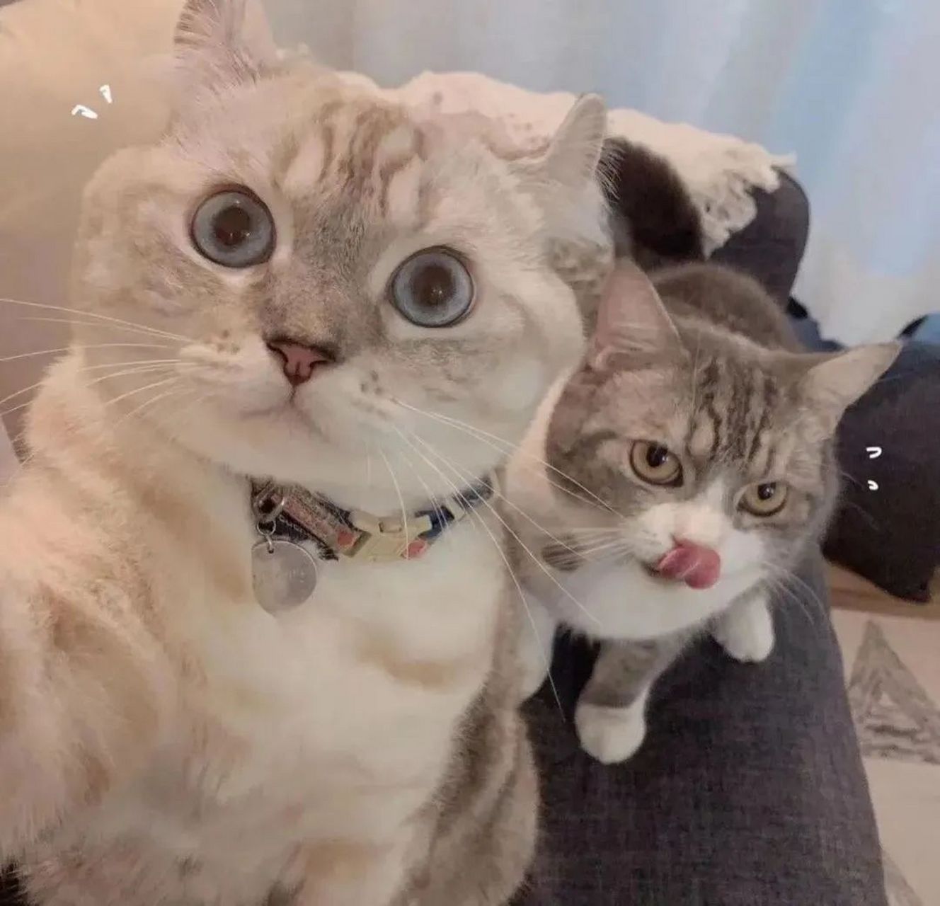 微信头像# 情侣头像