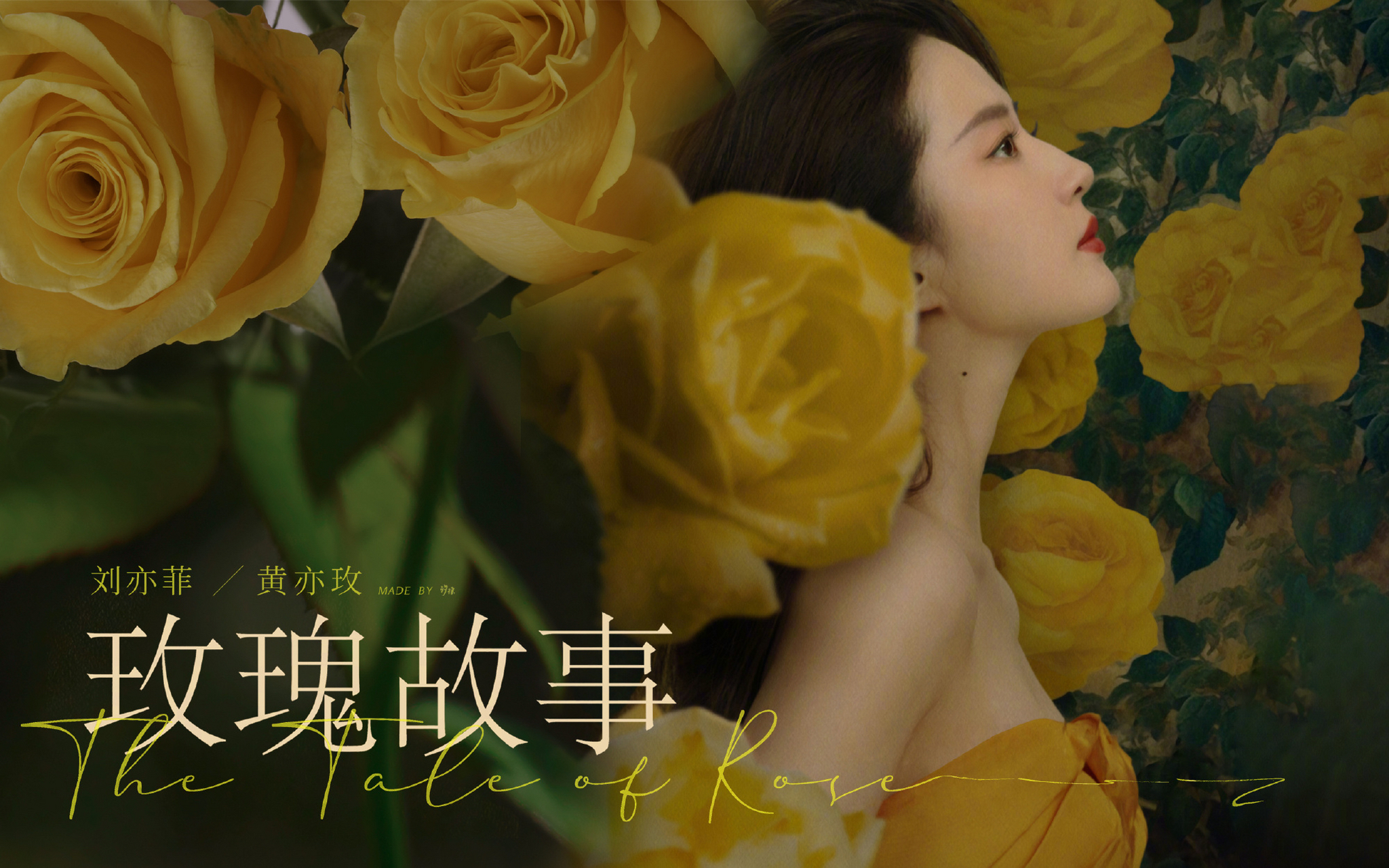 刘亦菲# 玫瑰故事拍摄ing