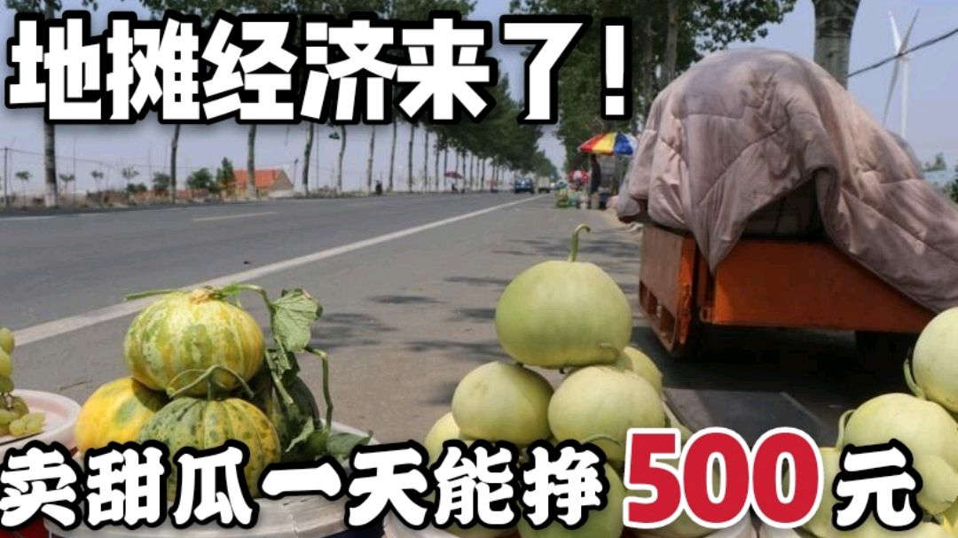 摆地摊卖甜瓜,一天收入500元,这活儿听着真不赖