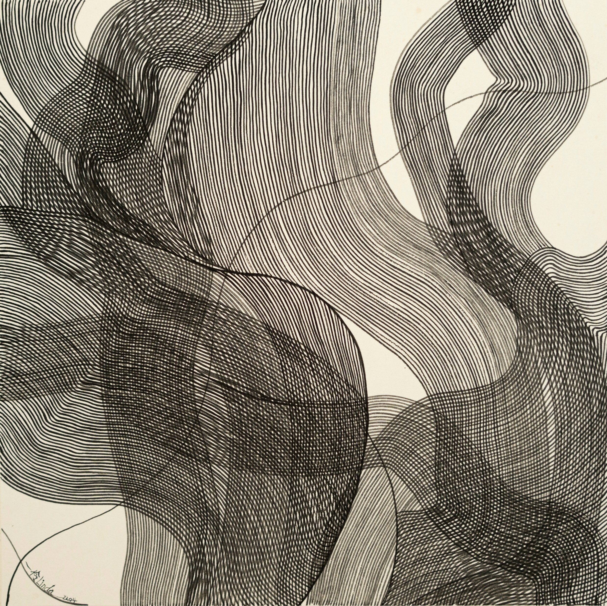 展讯|"曲线编织的世界"张伶伶个展