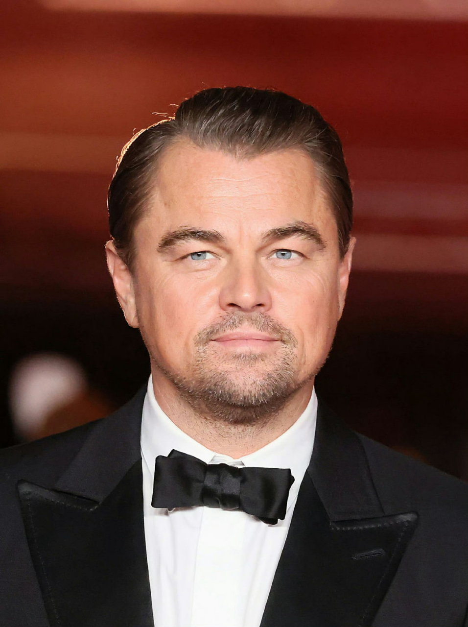 leonardo di gasun图片