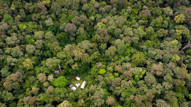 面积337万平方千米,非洲最大盆地,刚果盆地地形为何平坦单调?