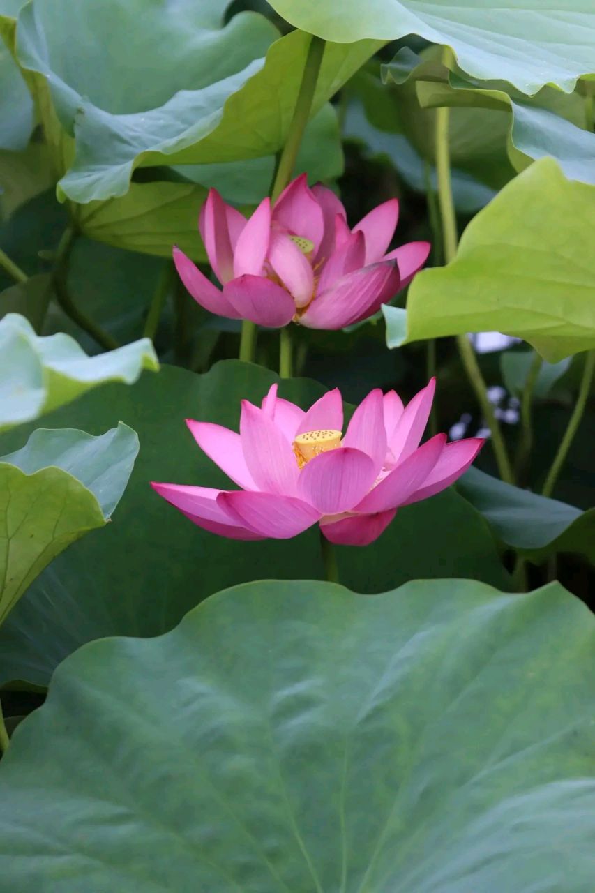 人这辈子,最难的是交心!