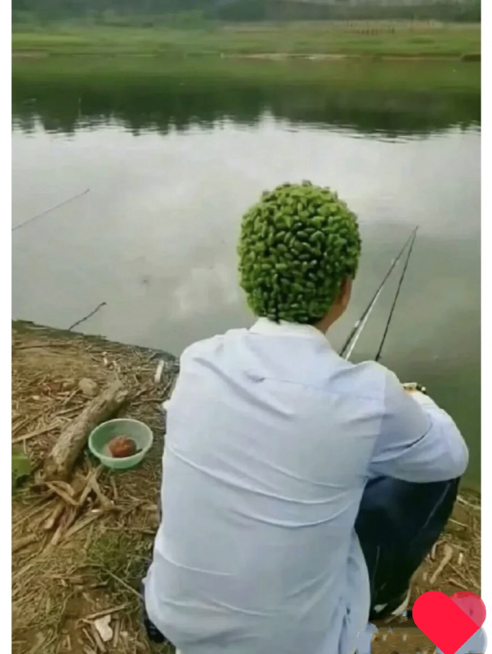 头顶呼伦贝尔大草原