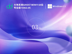大地系统 Ghost Win 11 64位 官方正式版 V2022.04 官方特别优化版