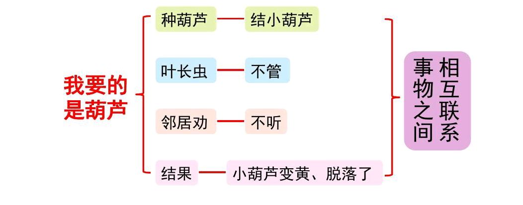 二年级语文上册十四课《我要的是葫芦》课文笔记