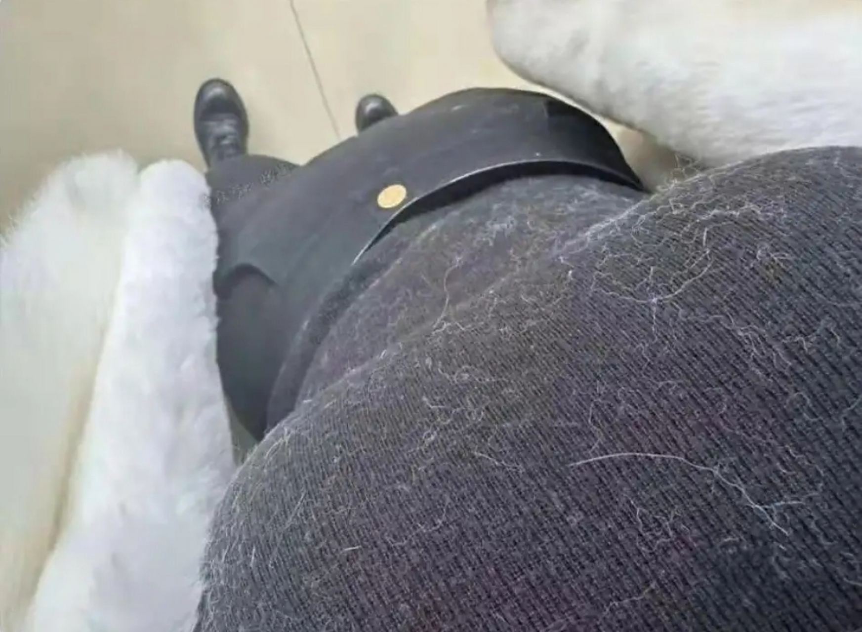 衣服粘上毛了,有什么办法快速去除?