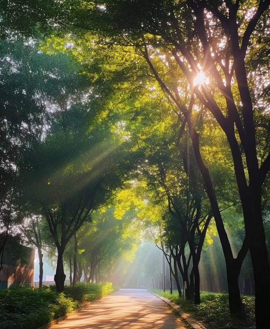 心旷神怡图片 美景图片