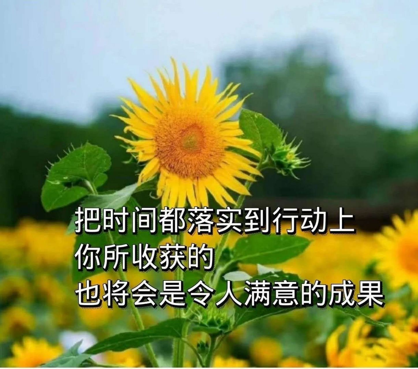 吃得苦中苦的人,如果不成長,不復盤,可能會一直吃苦下去.