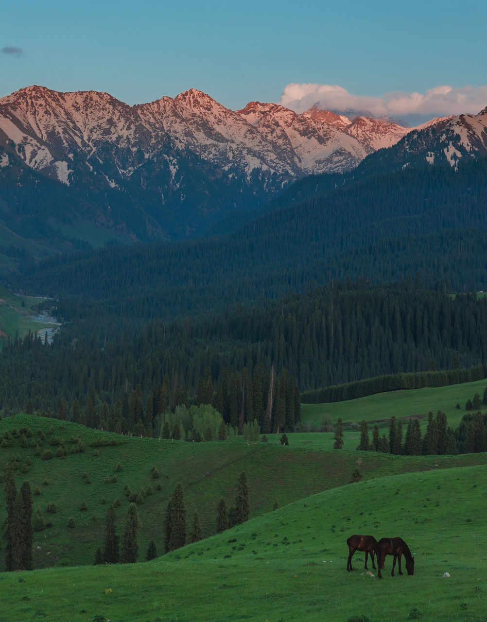 恰西草原的每一幕都像漫画!