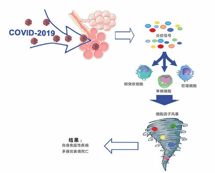 什么是细胞因子风暴
