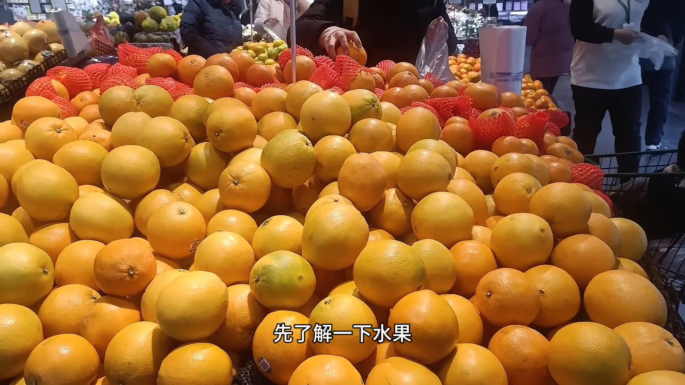 草皮种子多少钱一斤