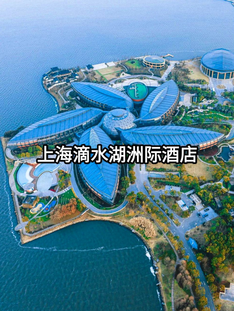 上海浦东洲际酒店图片