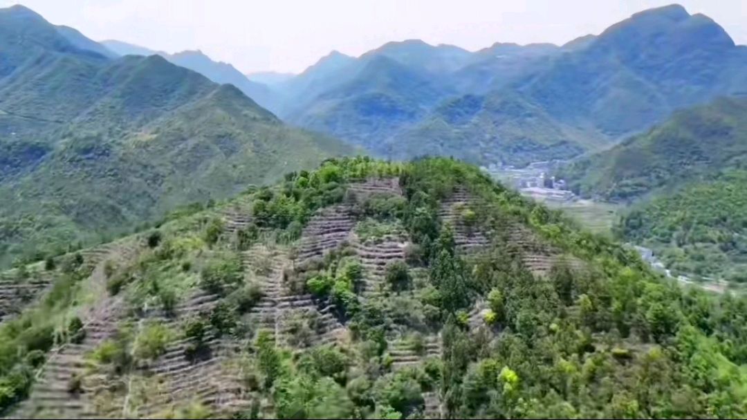 黄岩柔川景区:一个隐藏在山水间的世外桃源