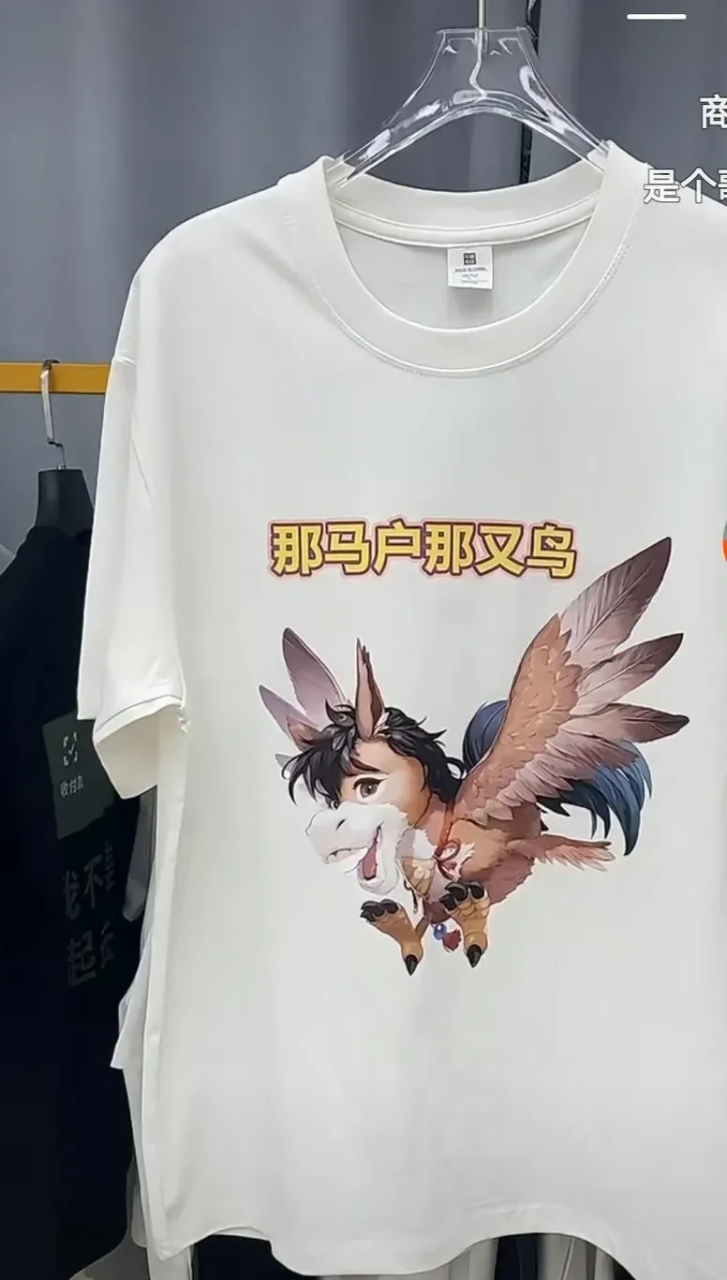 这样既马96又鸟92的四不像,肯定有人跟风买来穿,特别是审美奇葩