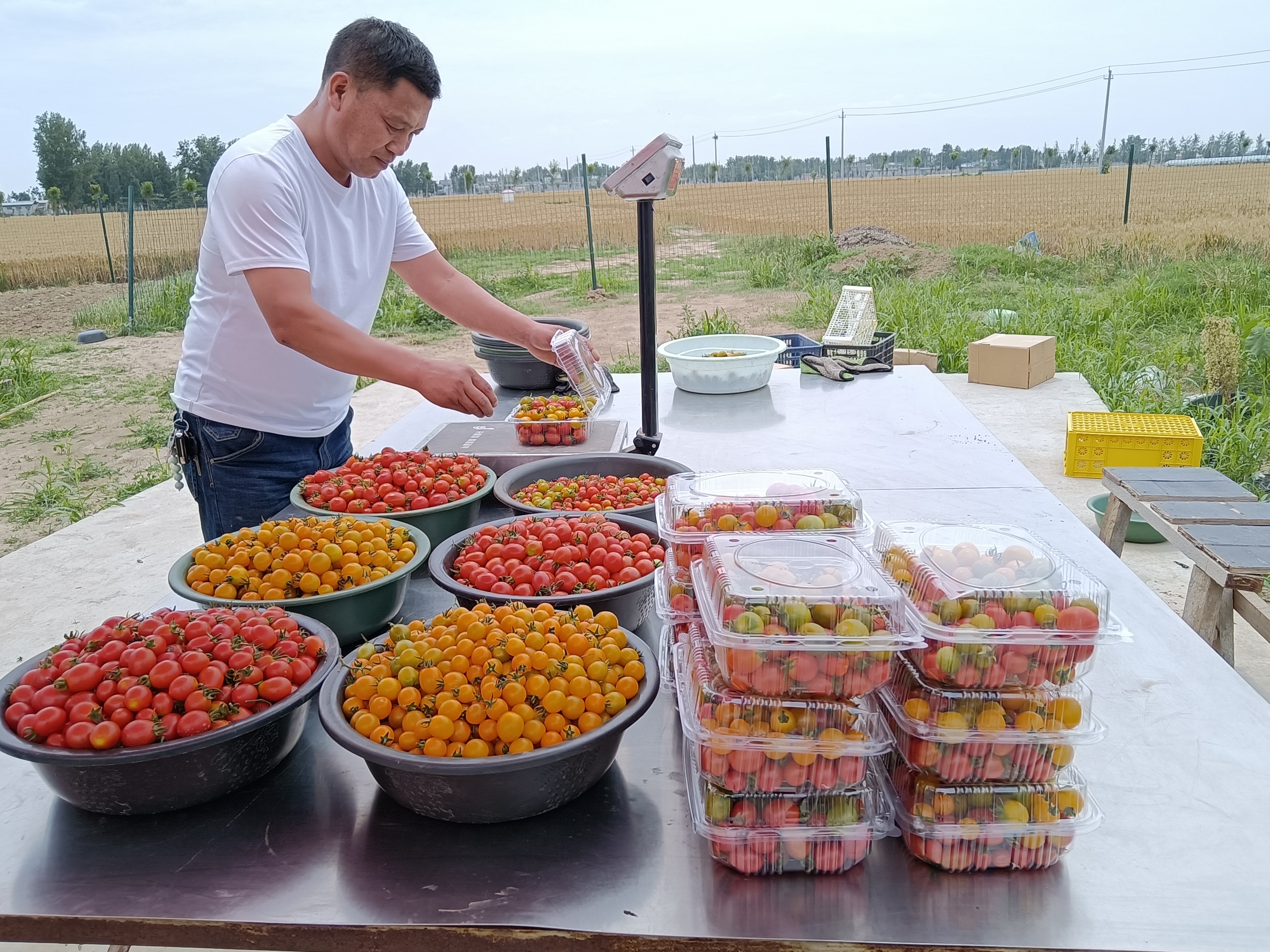 叶县田庄乡开启壮大村级集体经济新模式