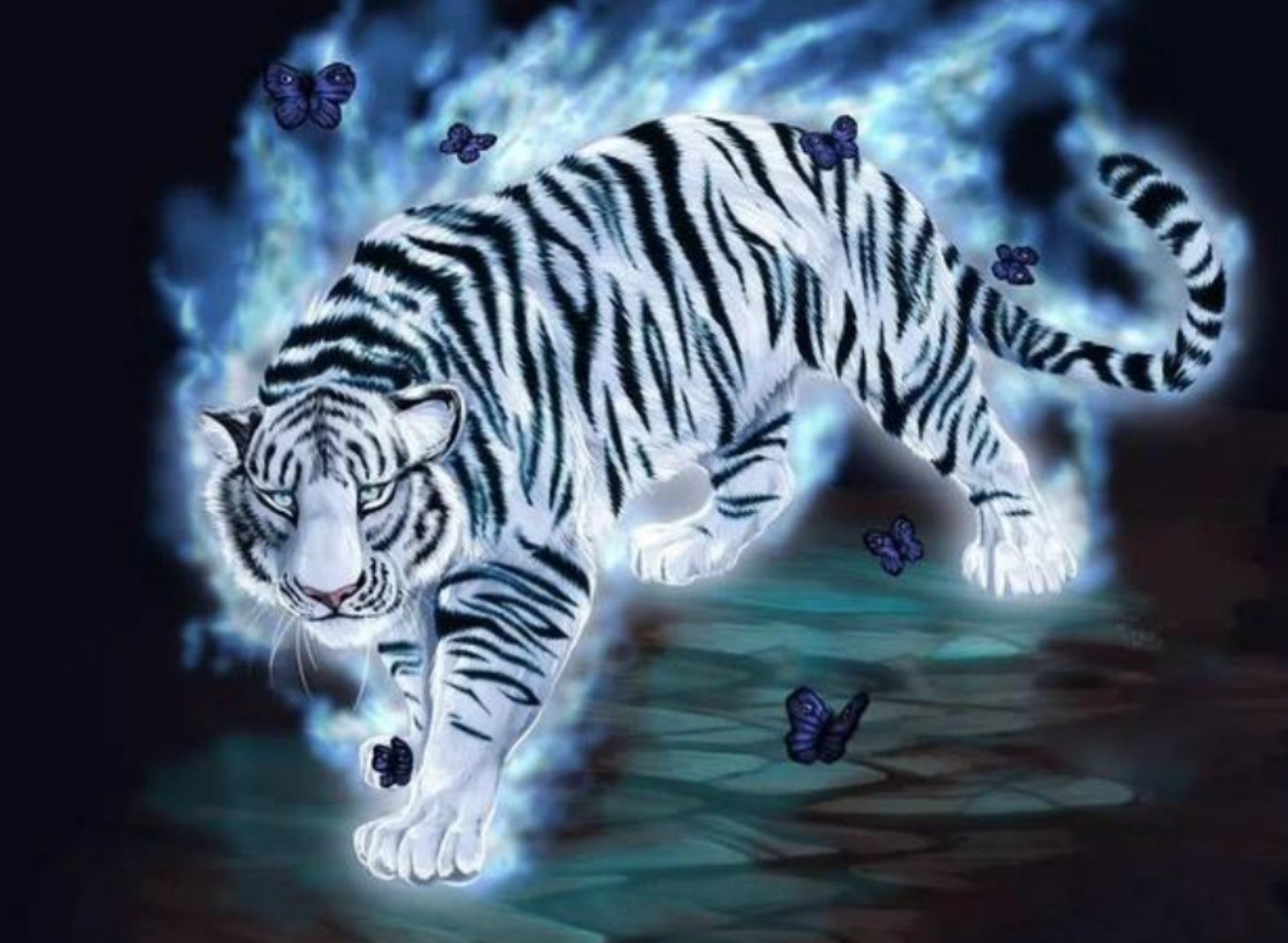 老话说:明日"白虎破金羊,月朔虎不出",这是什么意思?