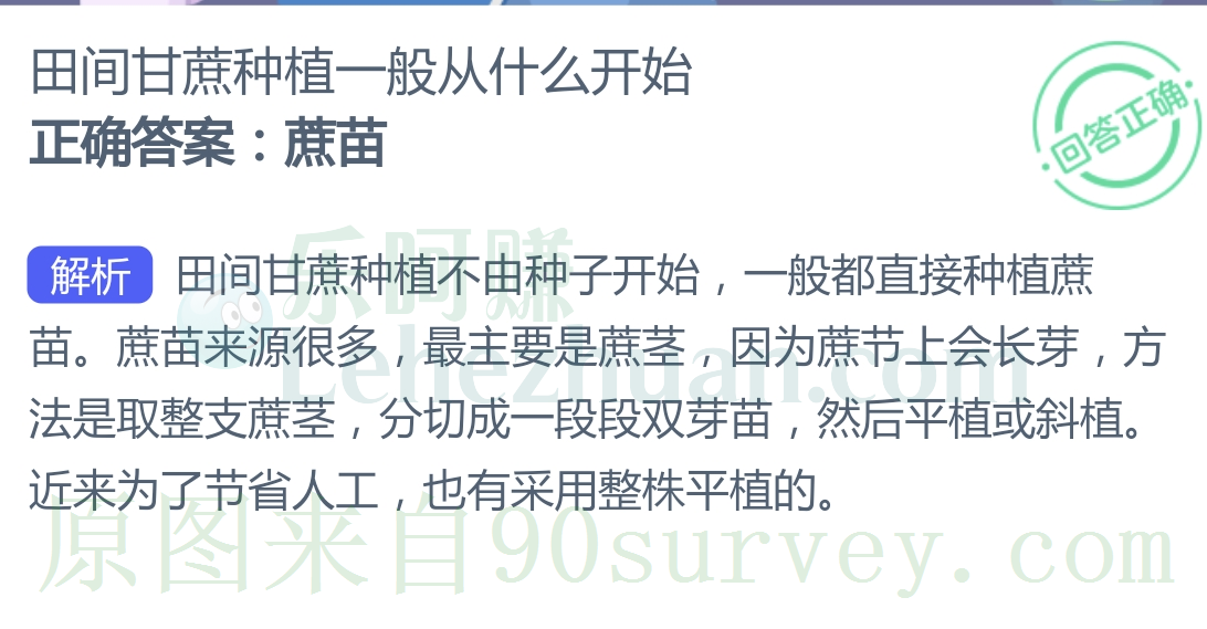 田间甘蔗种植一般从什么开始?正确答案:蔗苗 田间甘蔗种植一般从什么开始?正确答案:蔗苗