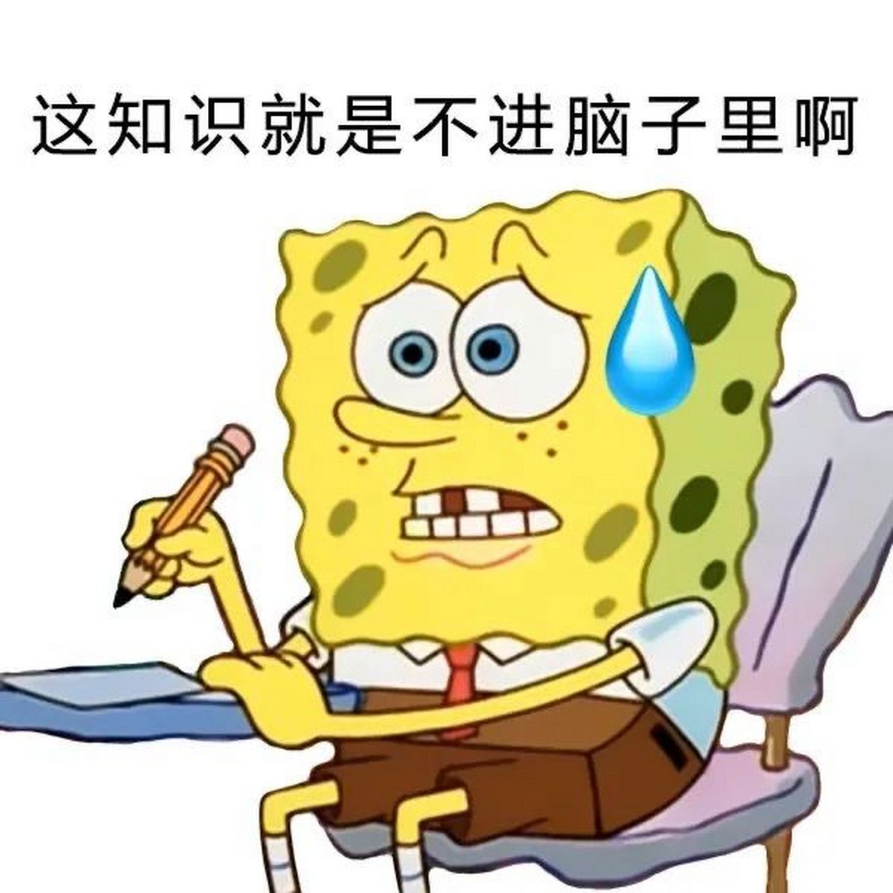 海绵宝宝开学表情包