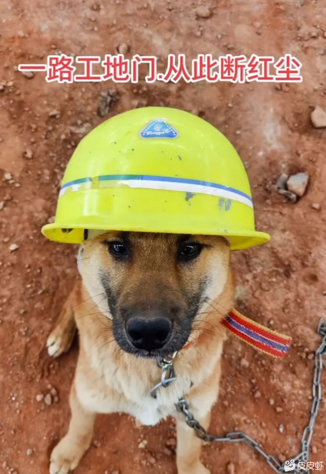 石岩恩斯迈想了解可以看看