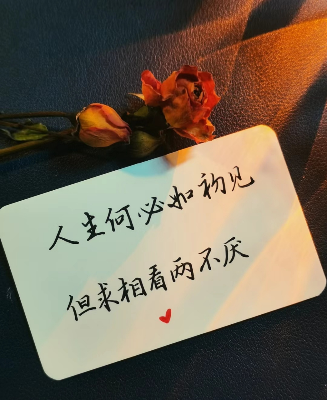 人生若只如初见,何来沧海变桑田.红尘如梦,转眼花落人去梦成空.