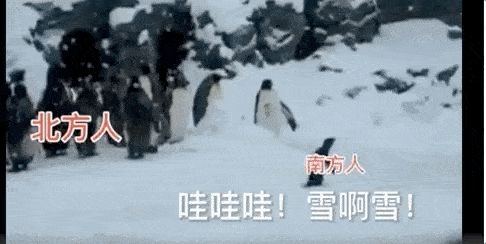 为省空调费,很多南方人去北方避热,组团去北方看雪,南方人喜欢看雪并